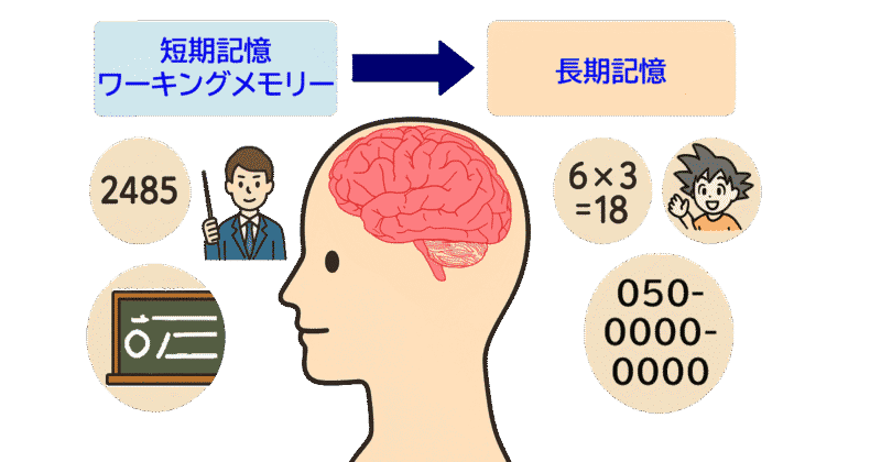 02短期記憶・ワーキングメモリー・長期記憶