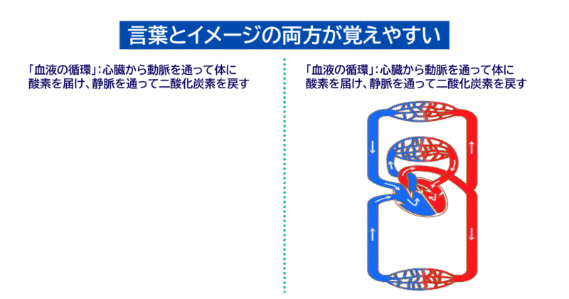 言葉とイメージの両方が覚えやすい