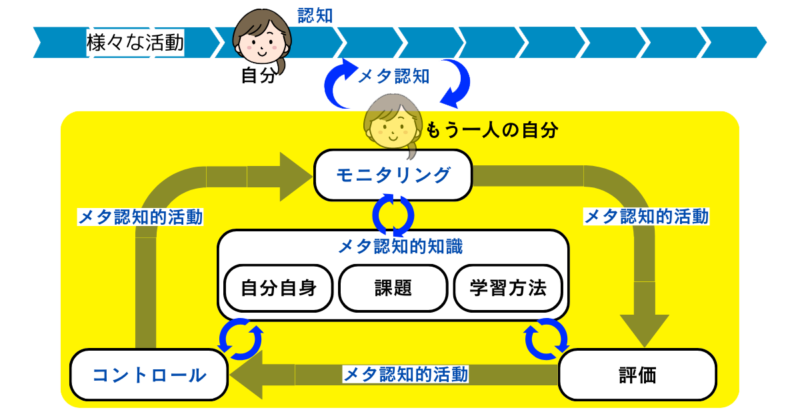 メタ認知の分類とその関係性及び働き