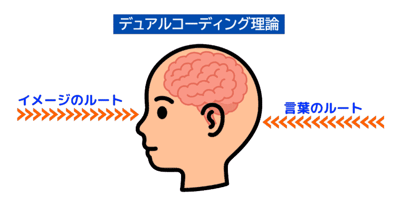 デュアルコーディング理論、言語システムとイメージシステム(非言語システム)