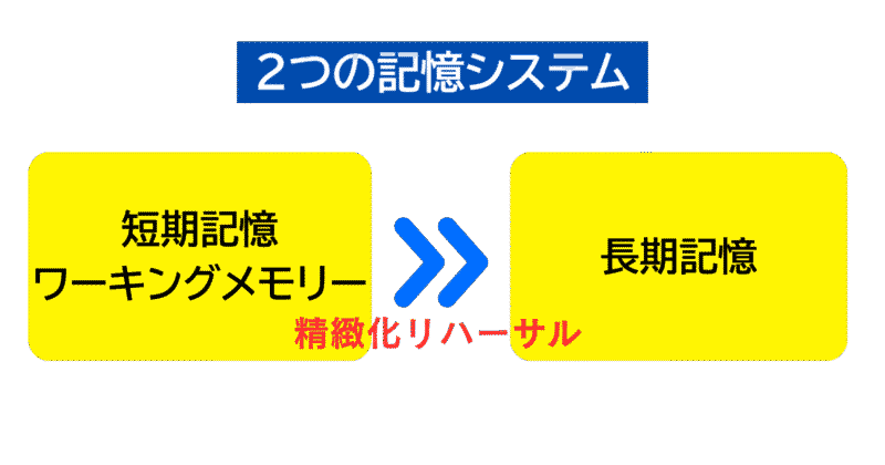 2つの記憶システム